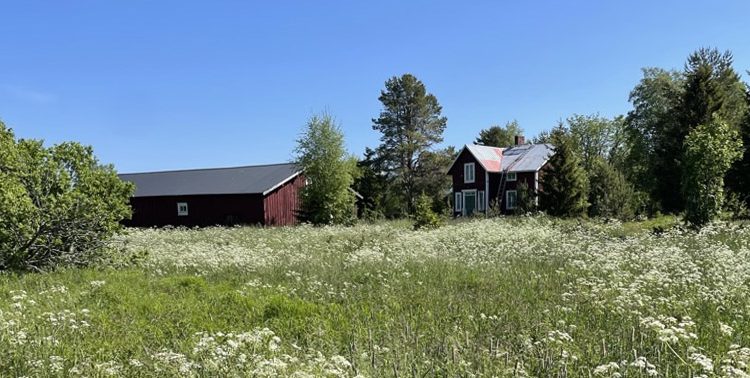  Viklundsgården – en välbevarad minnesplats över tidigare generationers småjordbruk